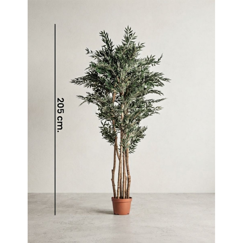 Planta Decorativa Olivo Alto 205 cm. - Montiel