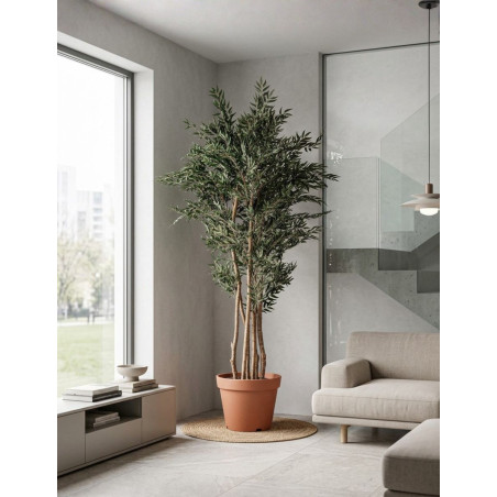 Planta Decorativa Olivo Alto 205 cm. - Montiel