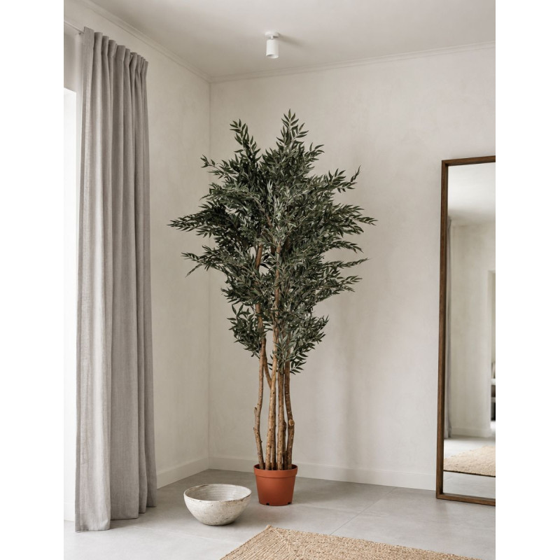 Planta Decorativa Olivo Alto 205 cm. - Montiel