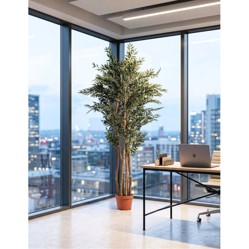 Planta Decorativa Olivo Alto 205 cm. - Montiel