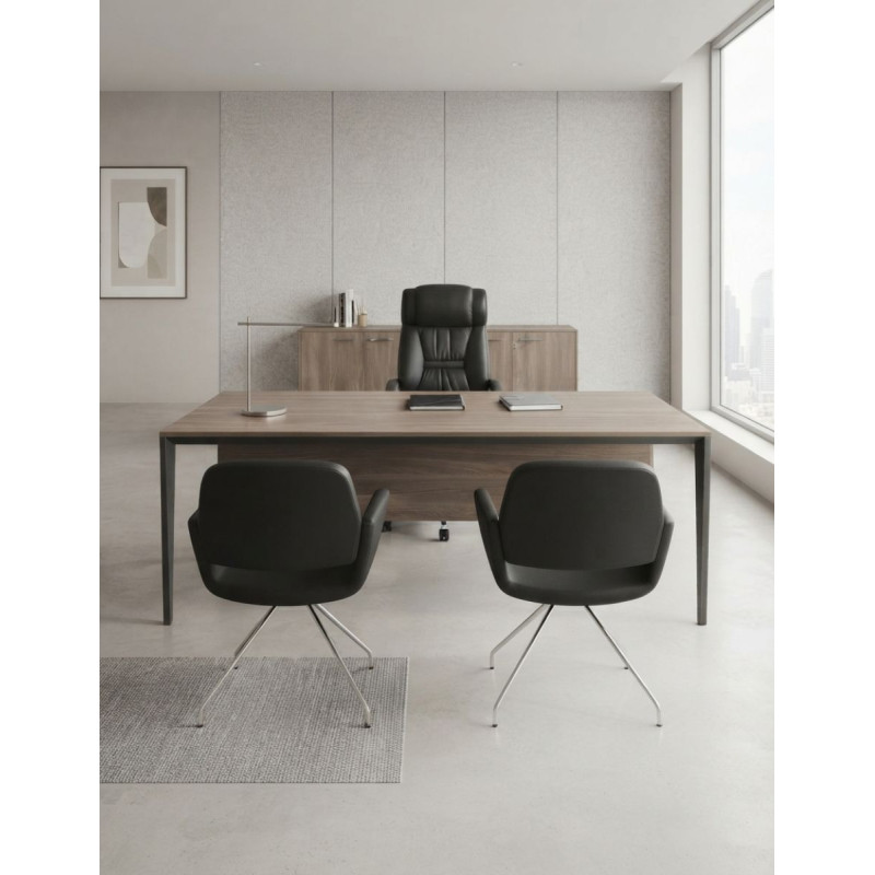 Pack Oficina de Mesa + Armario + Sillas - Montiel