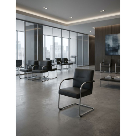 Silla Confidente Piel Visasoft de Vitra - Montiel