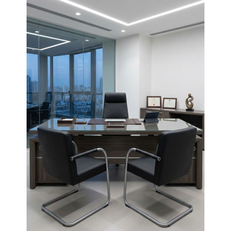Silla Confidente Piel Visasoft de Vitra - Montiel