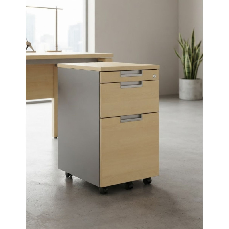 Cajonera Archivador y Plumier de Dynamobel - Montiel