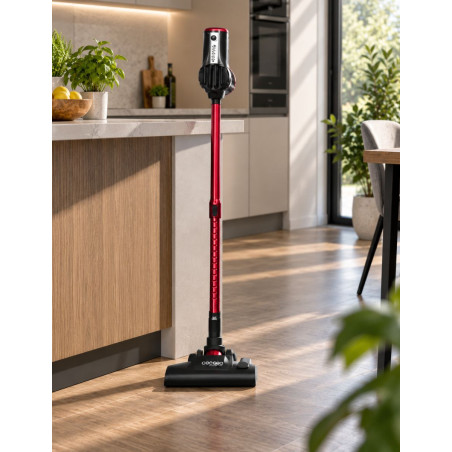 ThunderBrush Aspirador con cable 2 en 1 - Montiel