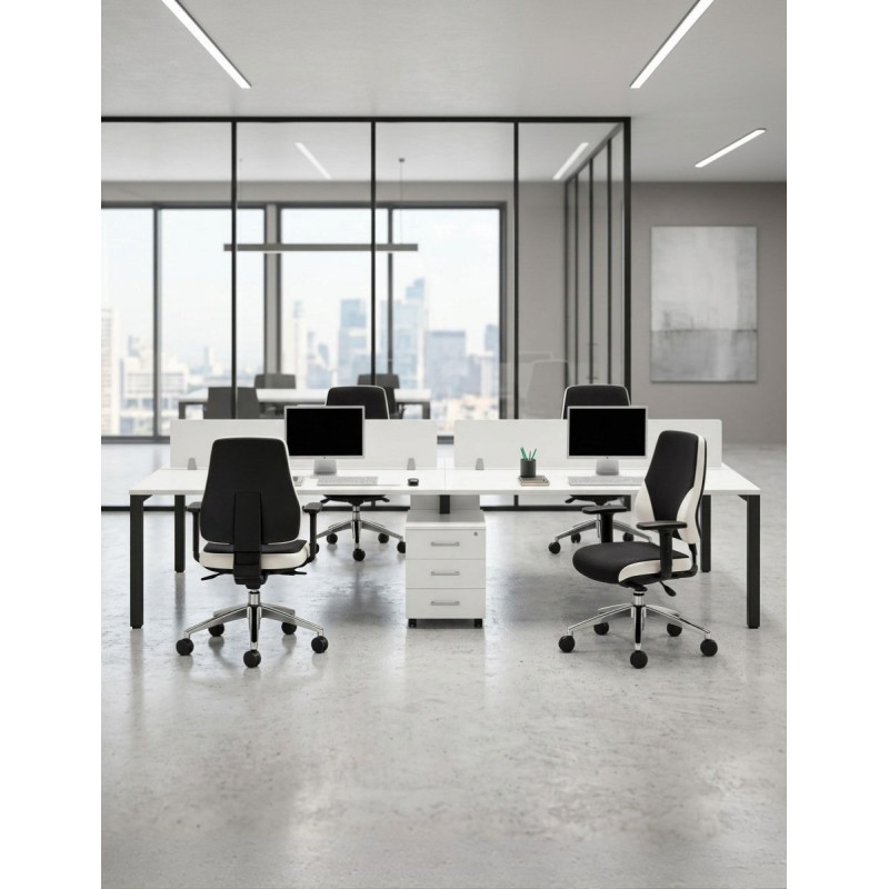 Multipuesto Oficina 4 Puestos con 2 Buc Serie Q8 de Herpesa