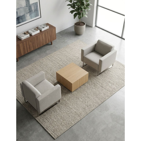 Sillón Confidente de Artifort - Montiel