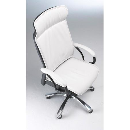 Sillón de Dirección Europa de Herpesa