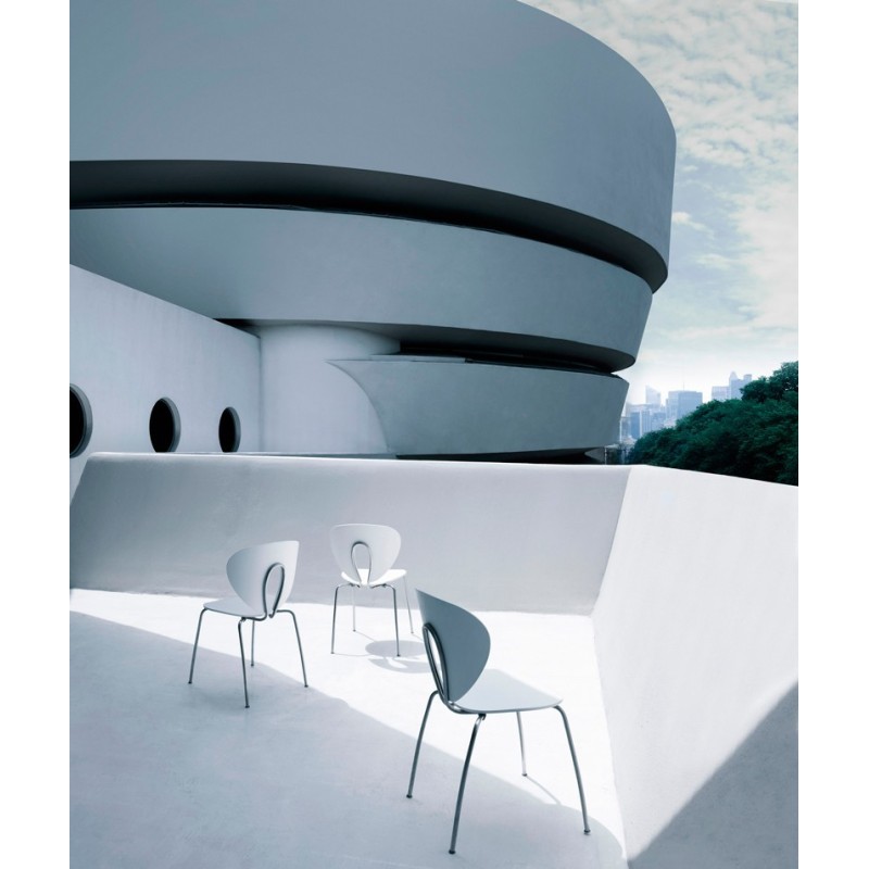 Silla de Diseño Blogus de Stua