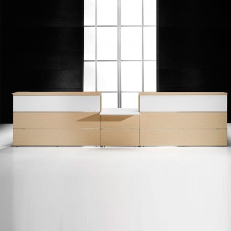 ▷ Mostrador Recto R3 de Herpesa - Oficinas Montiel