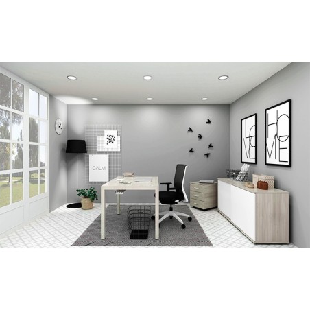 Oficina nórdica en Casa de Actiu