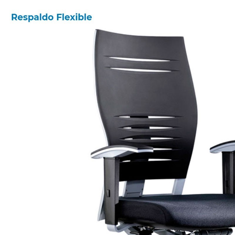 ▷ Silla Ergonómica Zas Evolution de Dynamobel - Oficinas Montiel