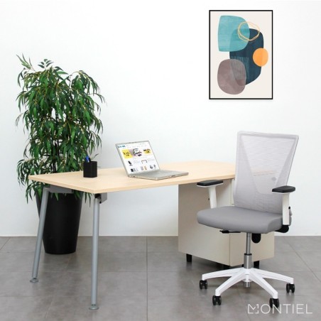 Silla Blanca  Escritorio Tirana de Euromof - Montiel