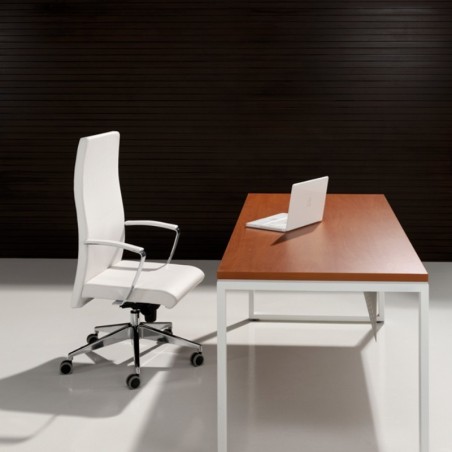▷ Sillón de Dirección NEO+ de Dileoffice -  Oficinas Montiel