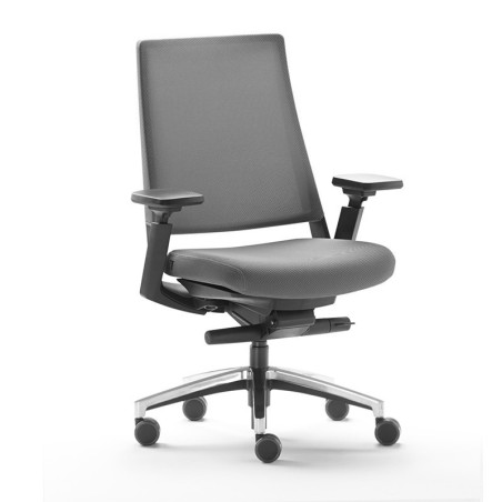 ▷ Silla Ergonómica Kineo de Forma 5 - Montiel