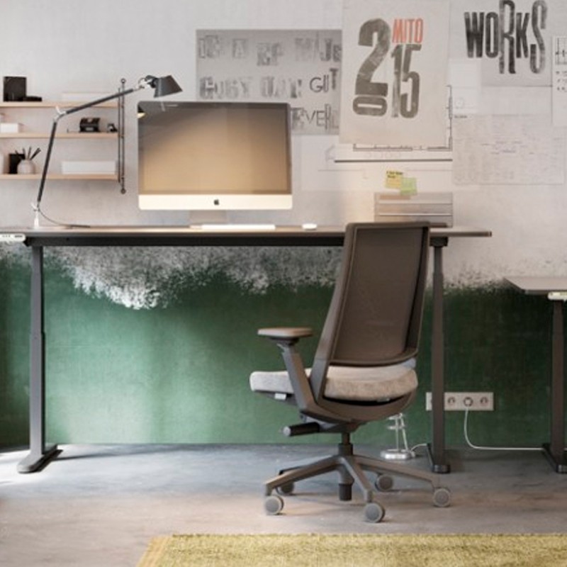 ▷ Silla Ergonómica Kineo Home de Forma 5 - Montiel