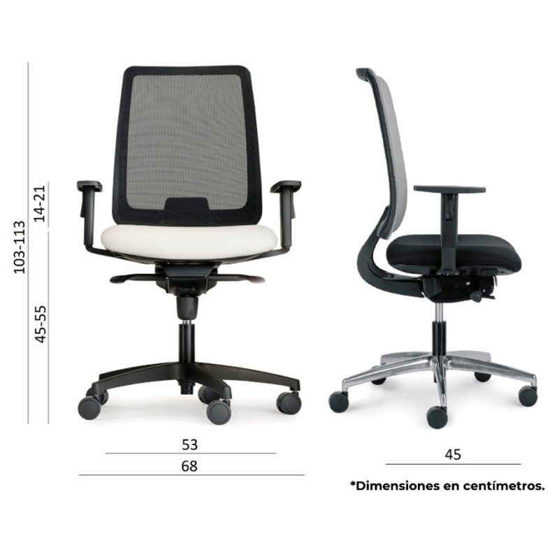 Dimensiones Absolute Malla de Luyando