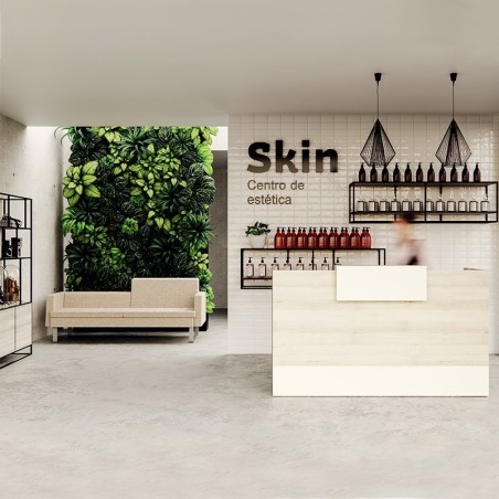 Mostrador Recepción en Negocios