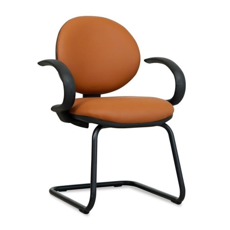 ▷ Silla para Salas de Espera con Brazos MM754 - Montiel