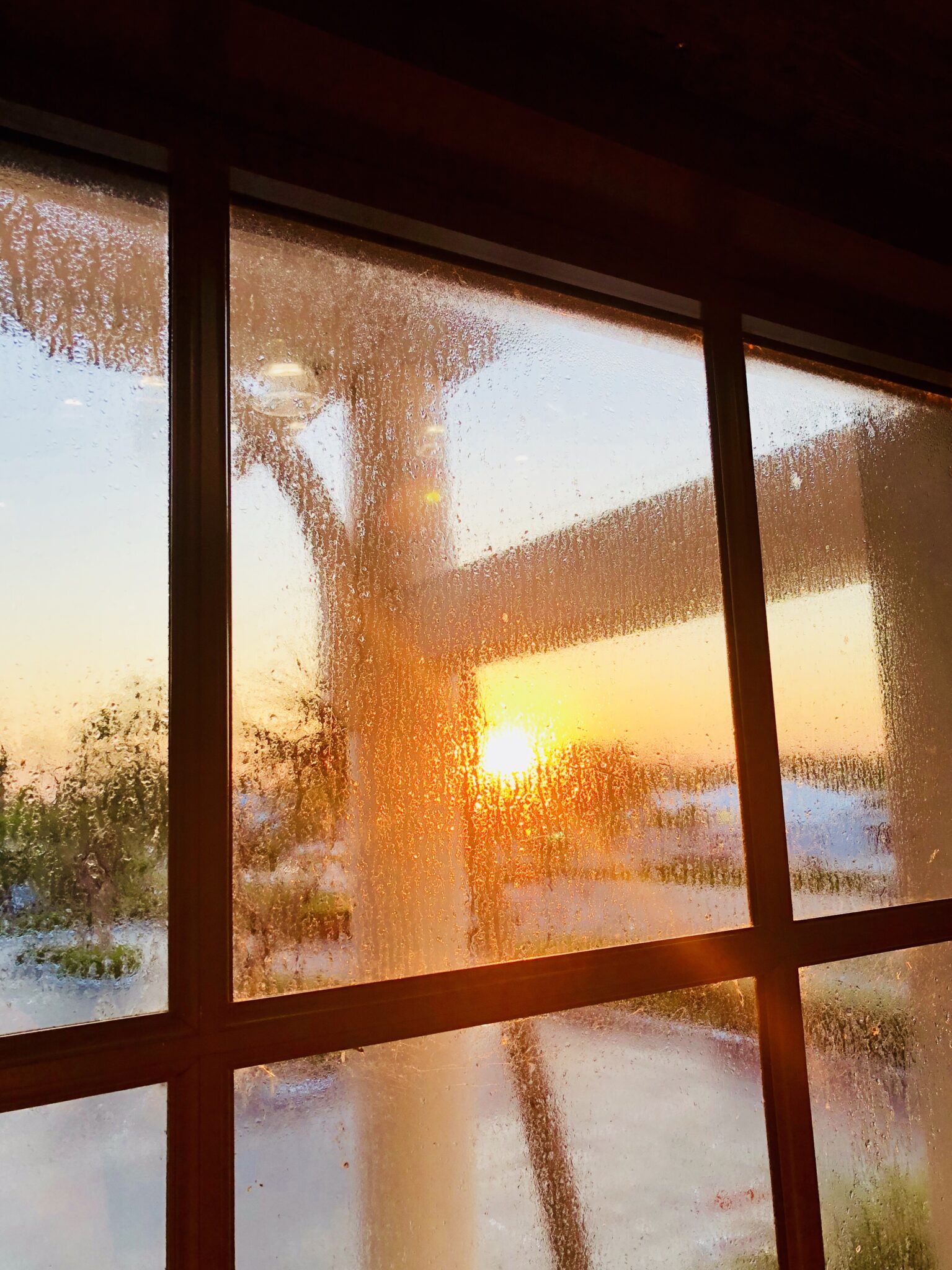 Cómo quitar olor a humedad