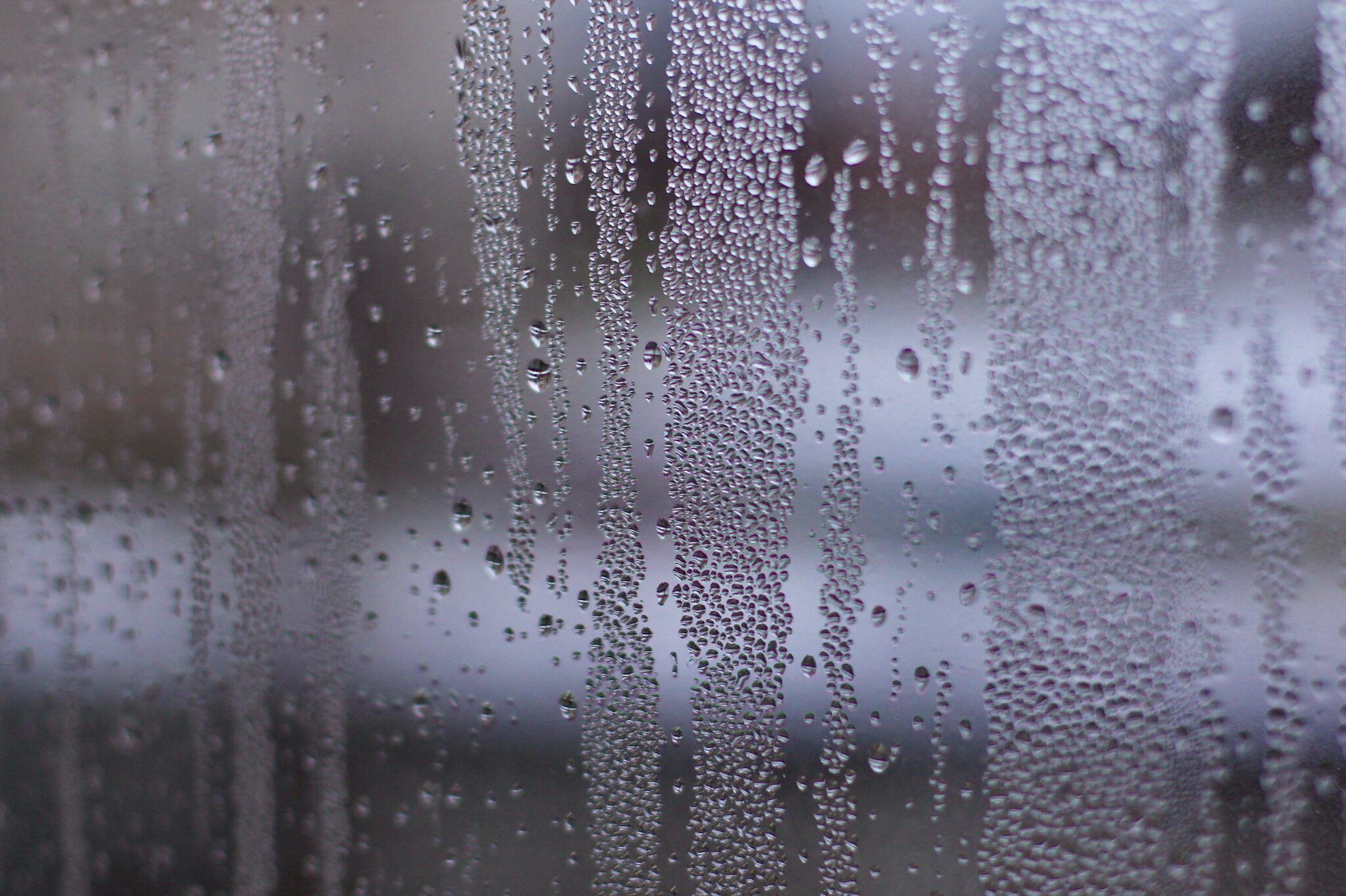 Cómo quitar olor a humedad