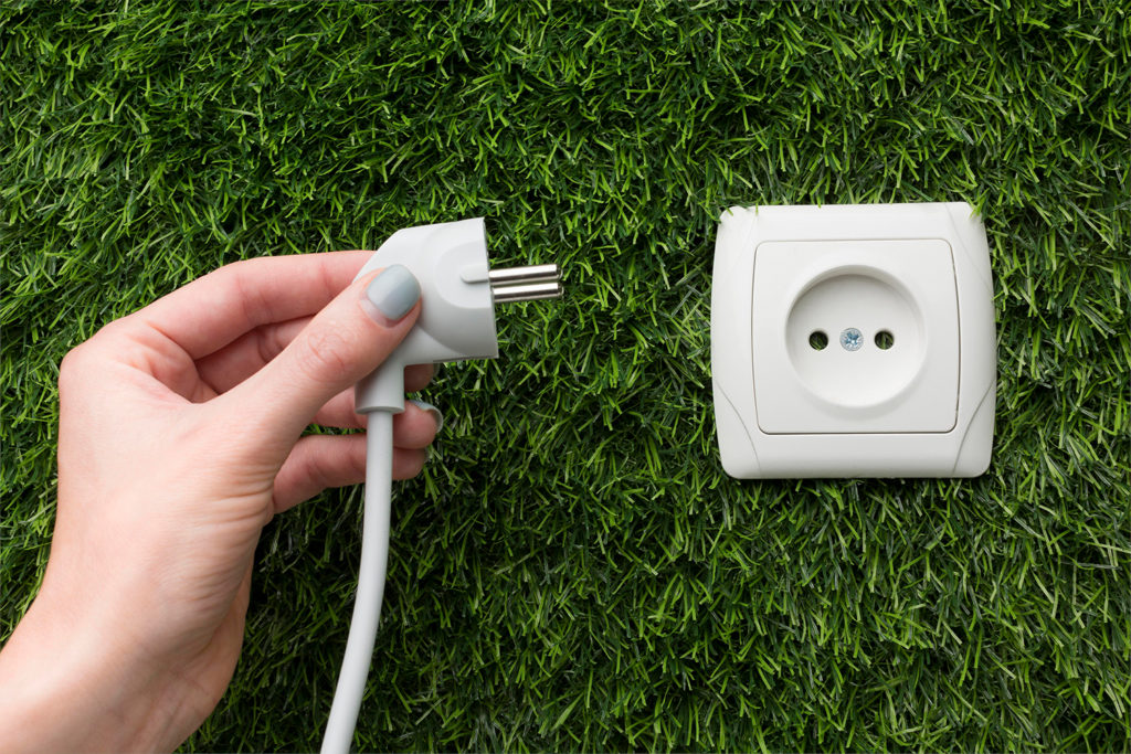 Cómo crear una oficina verde o ecológica