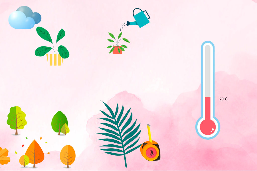 plantas para oficina