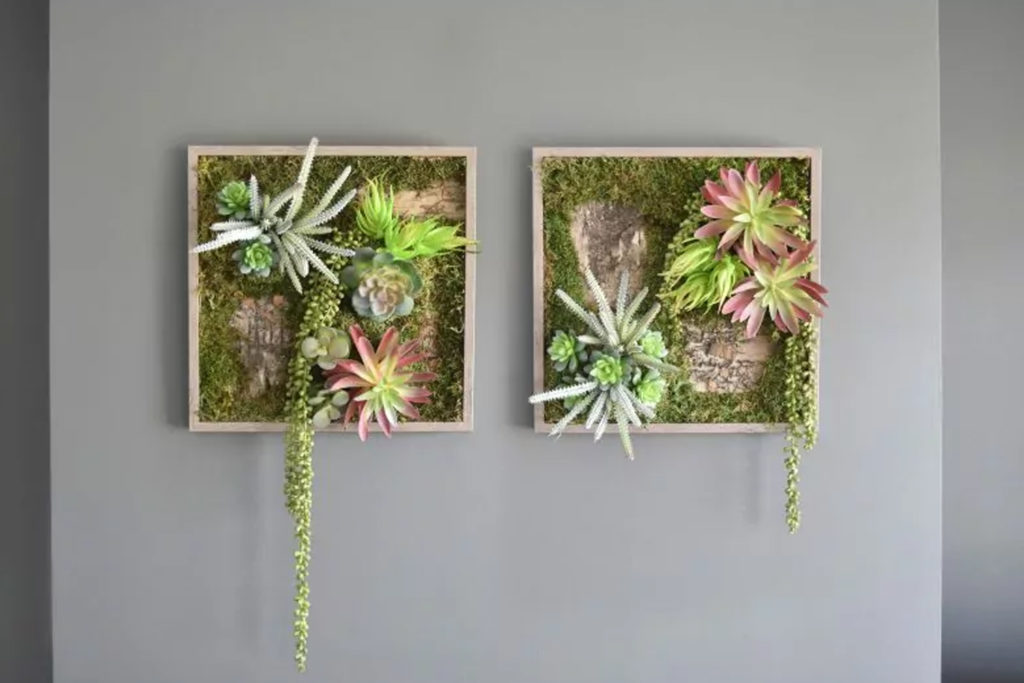 jardin vertical interior