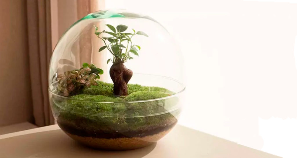 regalos para oficina