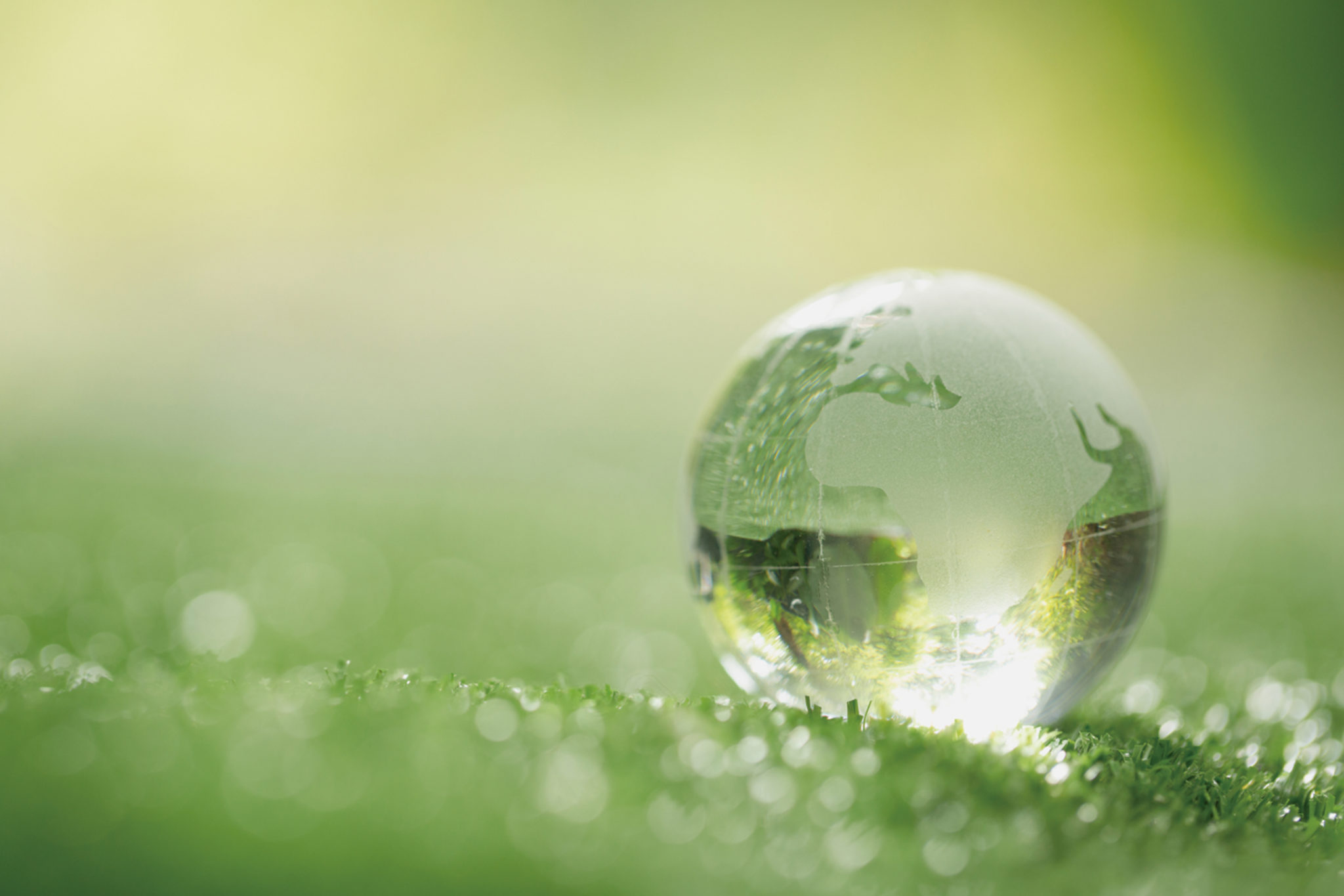 Proveedores de sillas ergonómicas