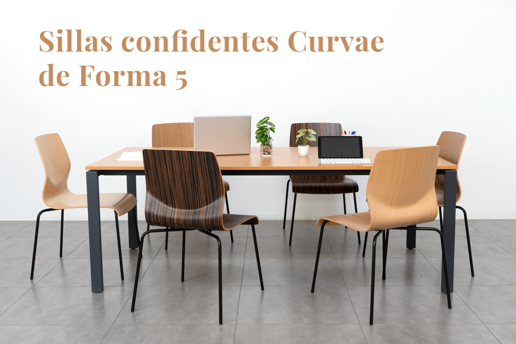 Packs de Sillas de Madera laminada prensada Curvae de Forma5