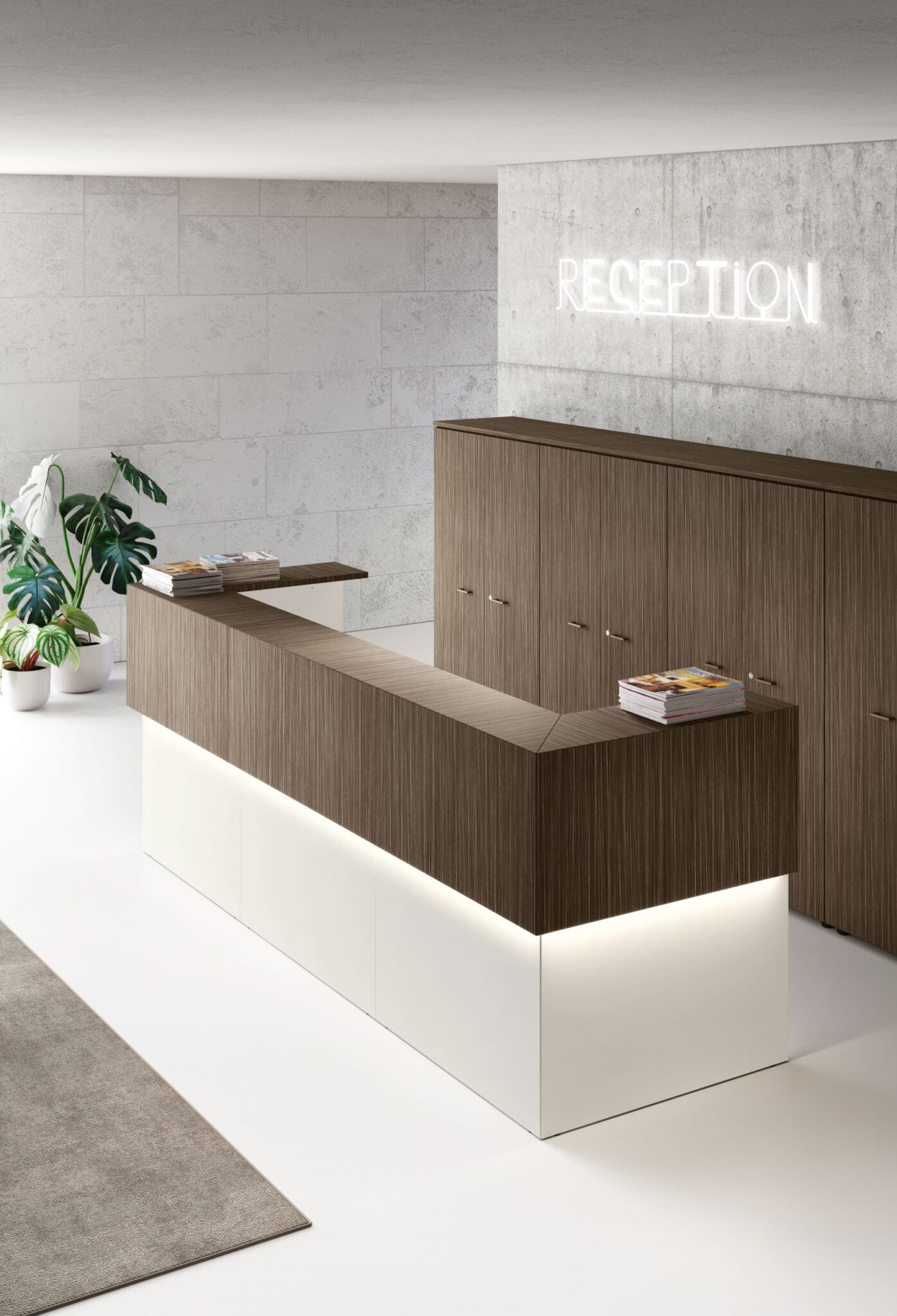 los mejores mostradores para tienda y negocios