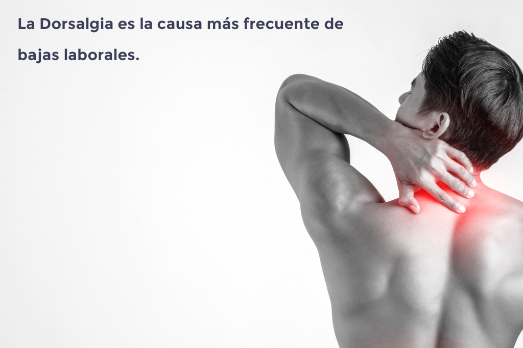 baja laboral por dorsalgia