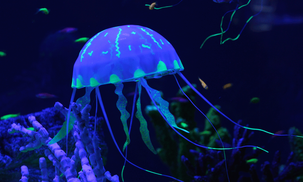 peligros luz azul vista