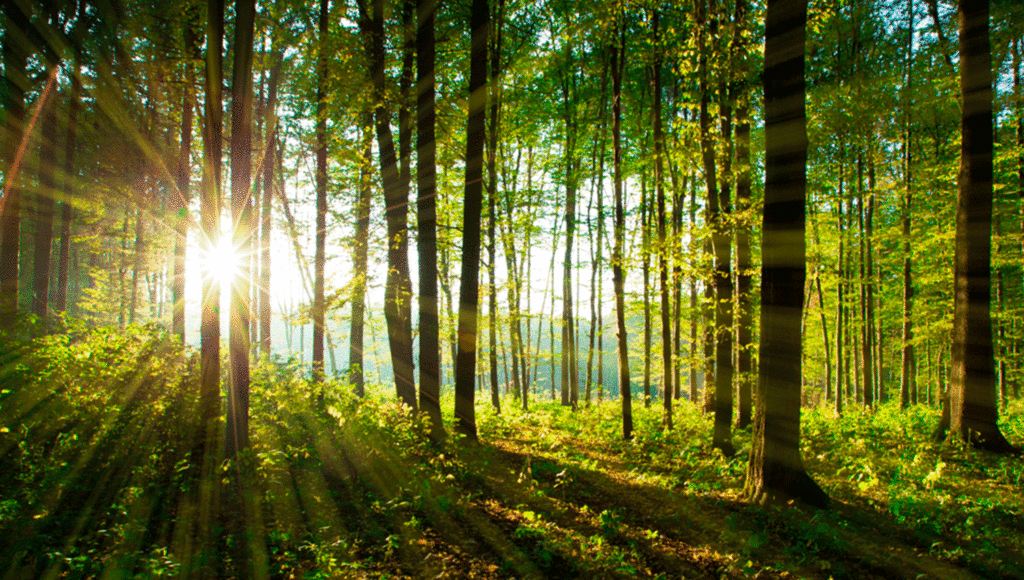 invierte muebles oficina reacondicionados rebajas 2023