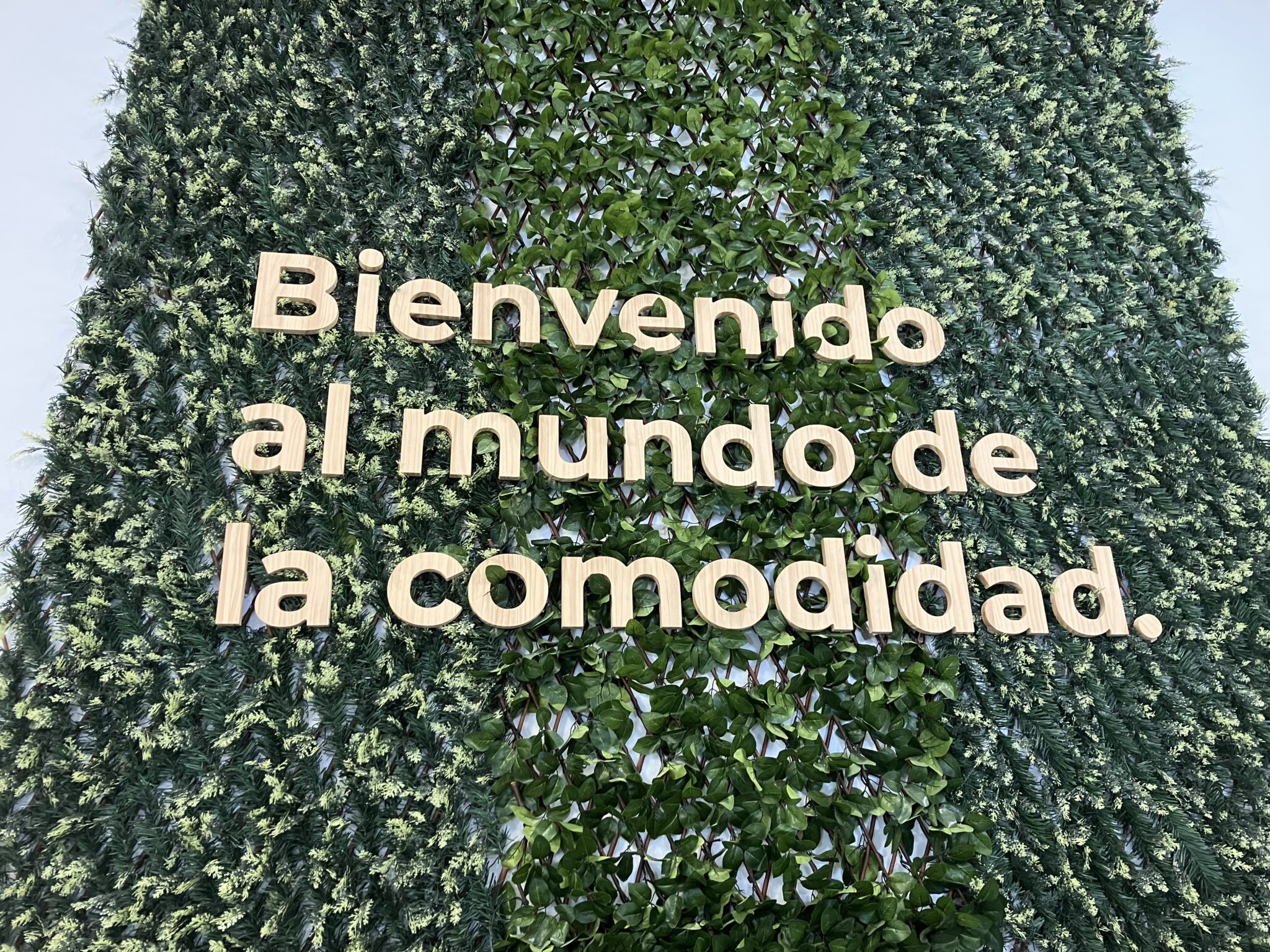 El mejor diseño biofilico para oficinas y sus beneficios