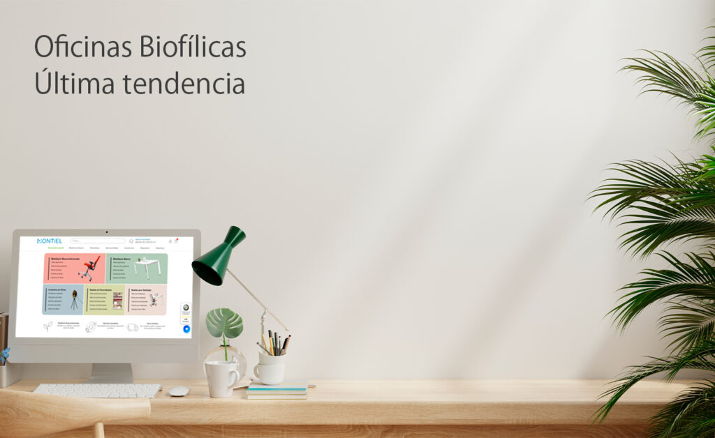 El mejor diseño biofilico para oficinas y sus beneficios