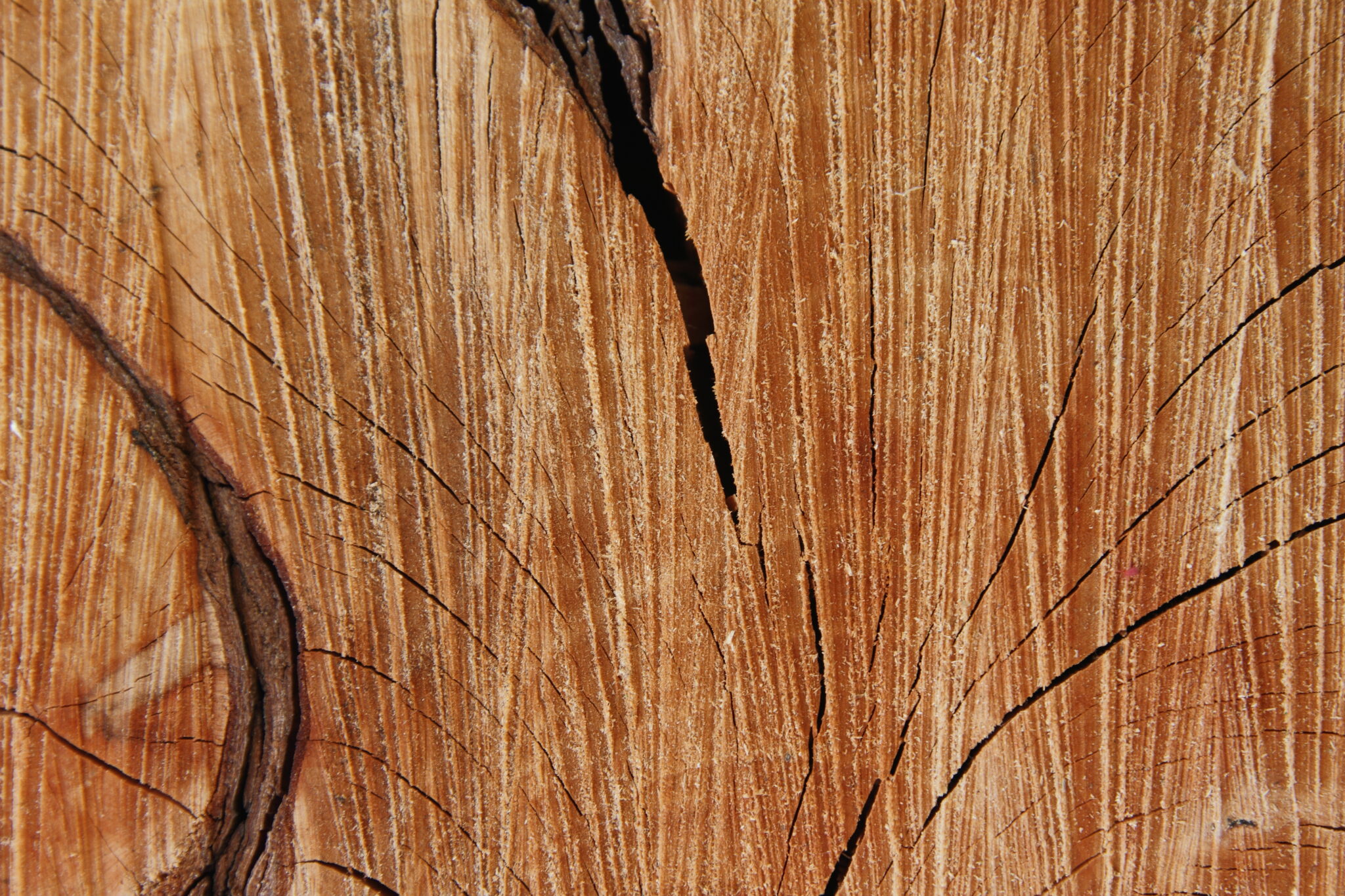 Tendencia 2023: Decora tu oficina de color madera roble