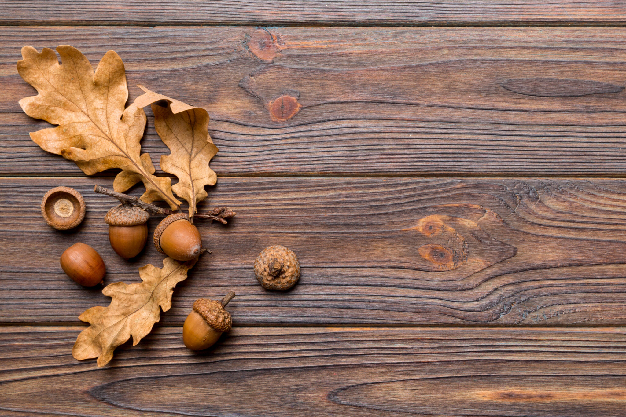 color madera castaño