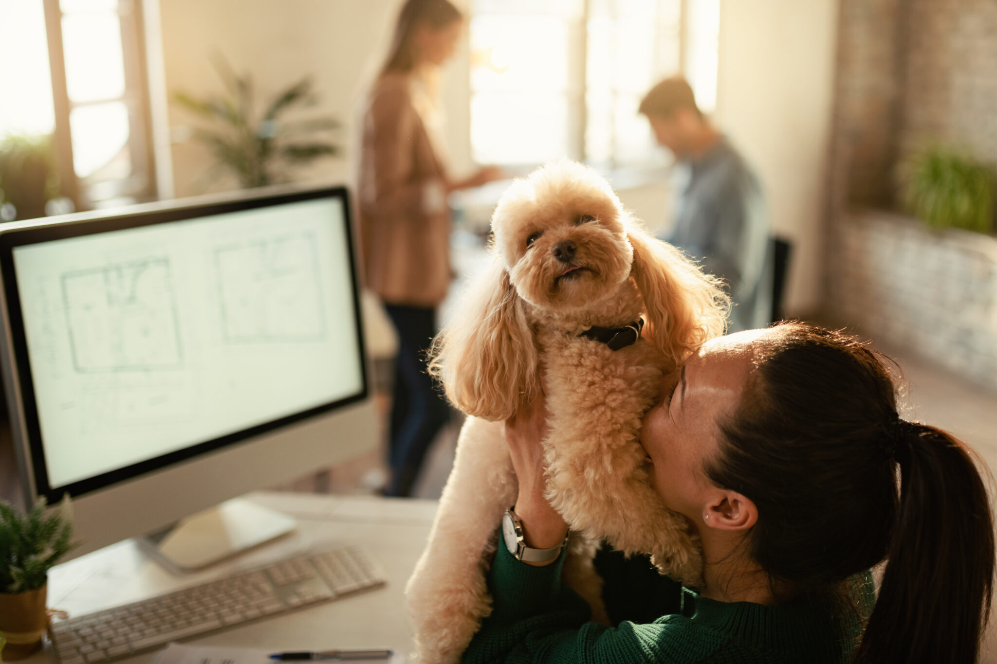 ¿Funcionan las oficinas que admiten mascotas?