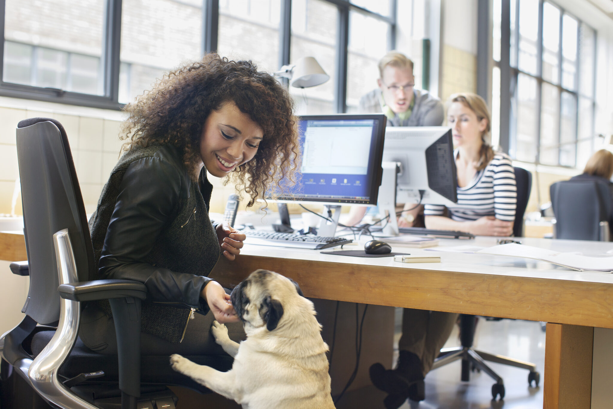 ¿Funcionan las oficinas que admiten mascotas?