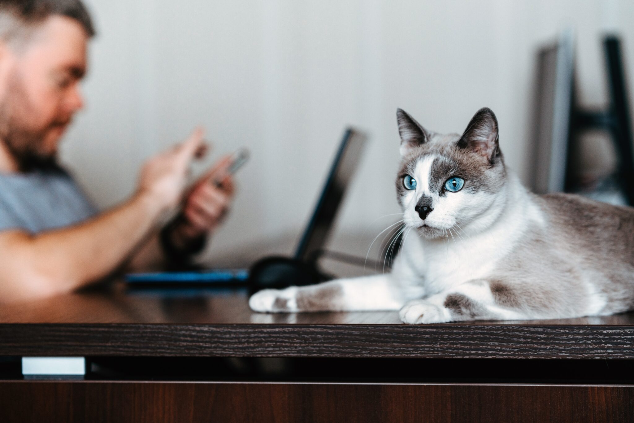 ¿Funcionan las oficinas que admiten mascotas?