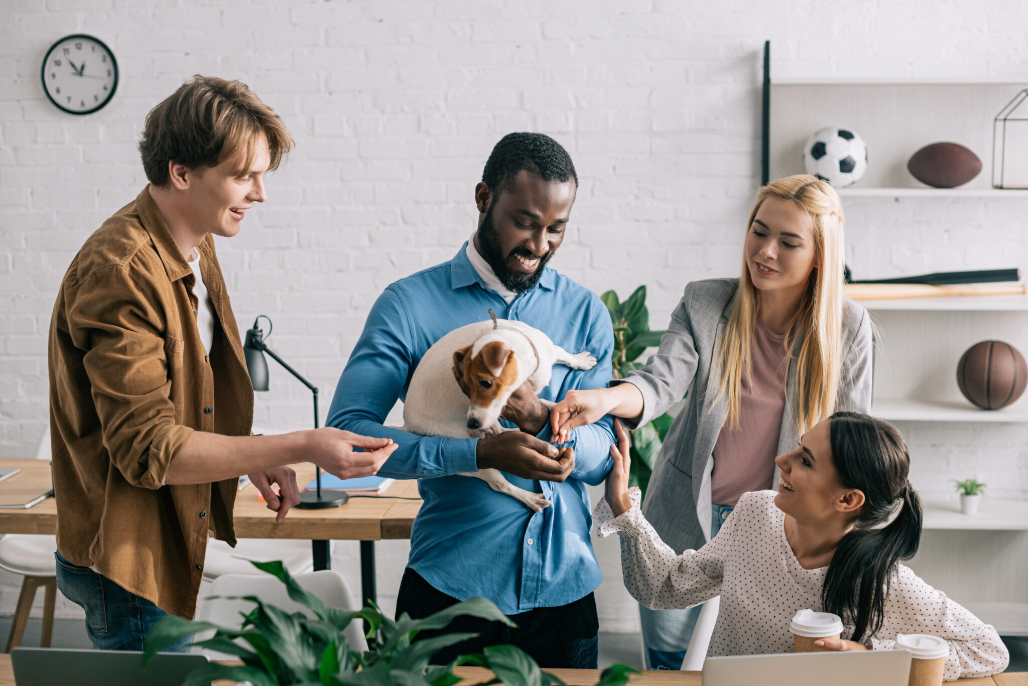 ¿Funcionan las oficinas que admiten mascotas?