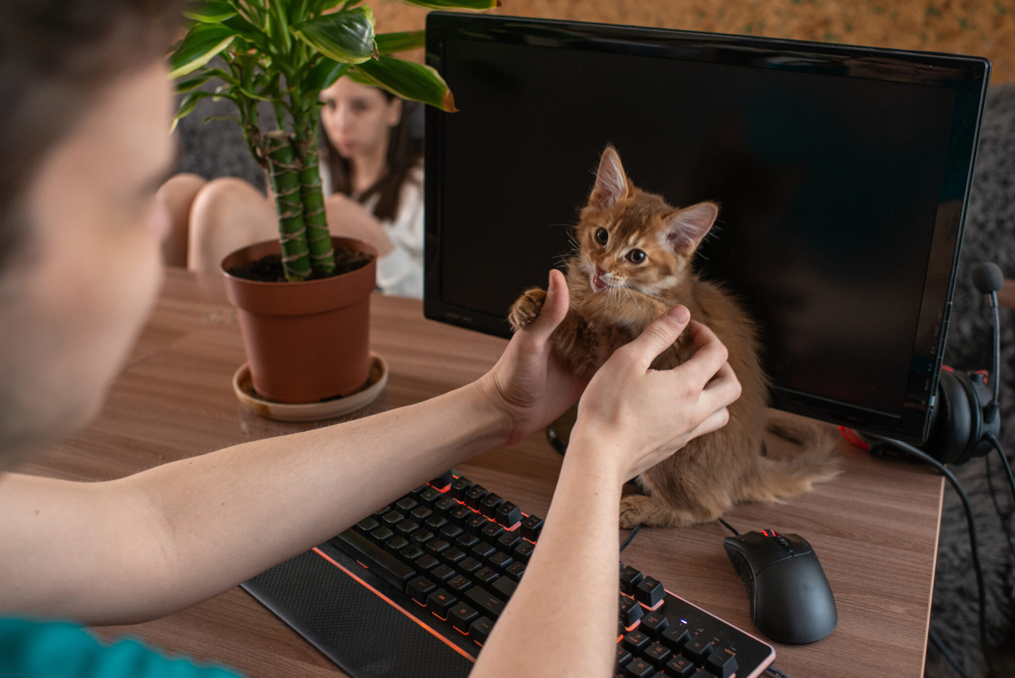 ¿Funcionan las oficinas que admiten mascotas?
