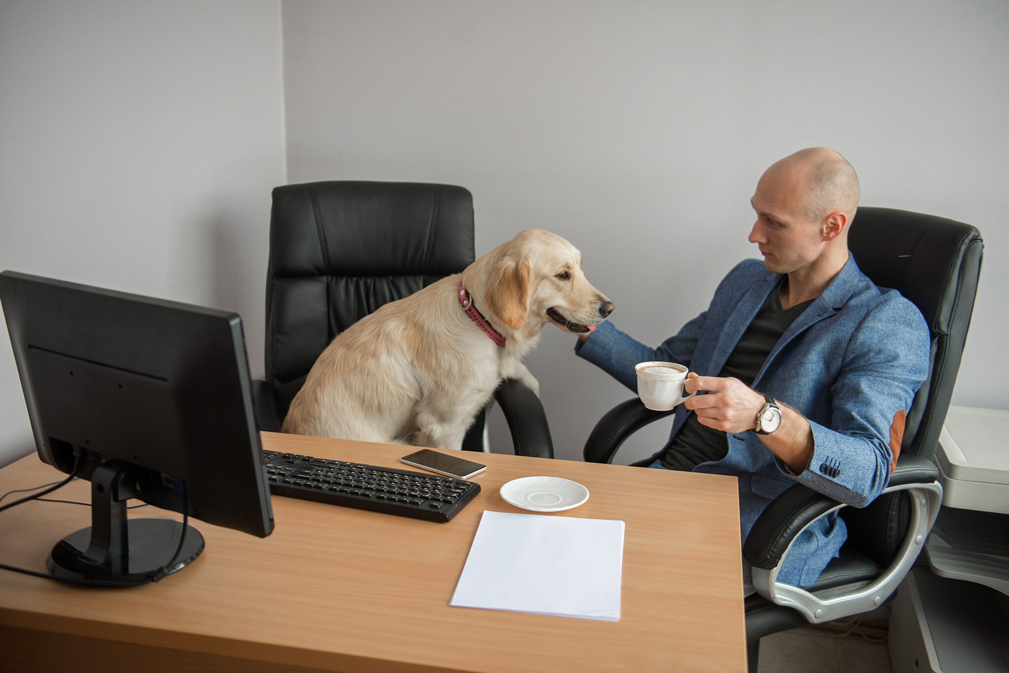 ¿Funcionan las oficinas que admiten mascotas?