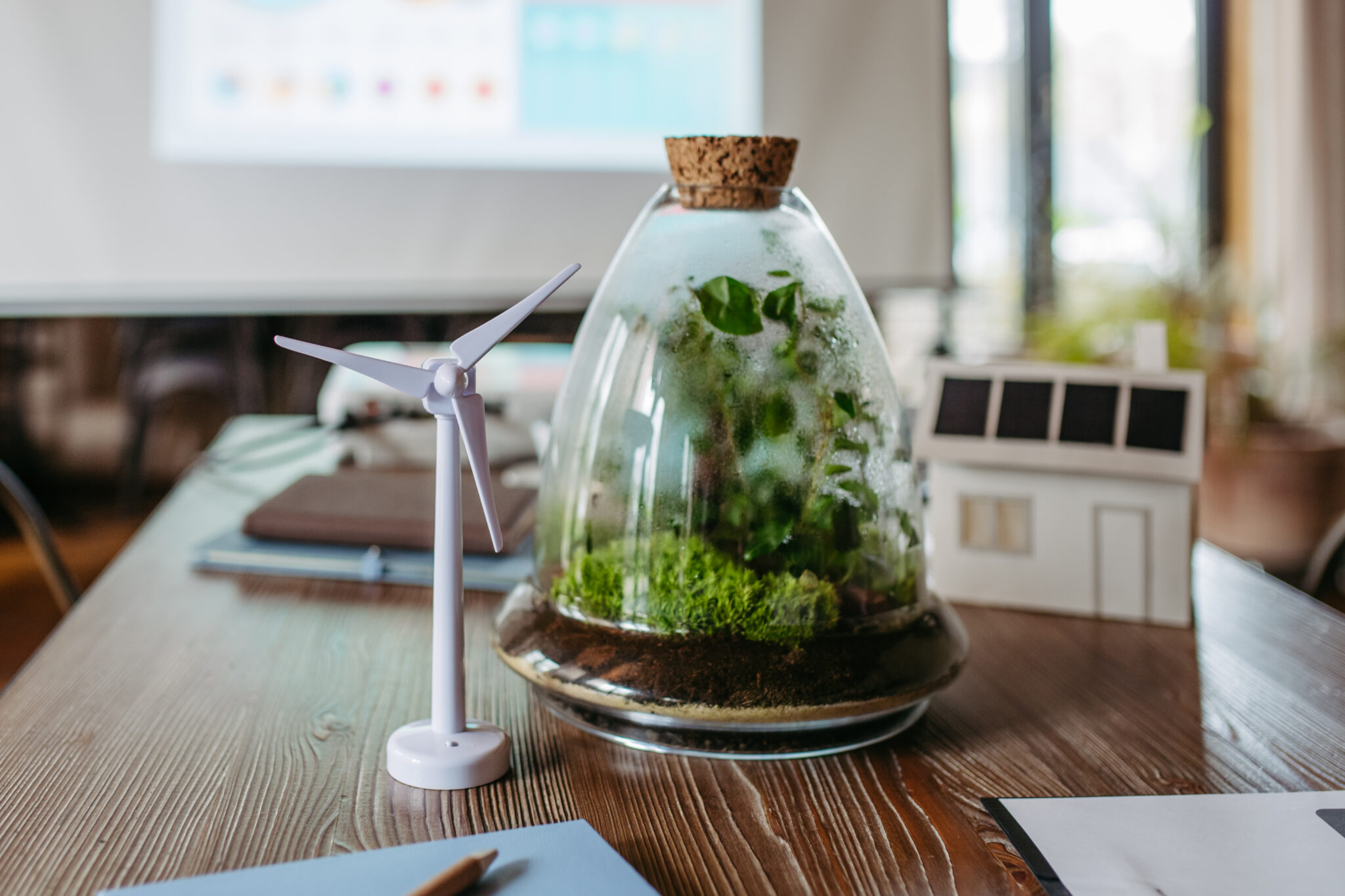 Crear una oficina ecológica eco-friendly