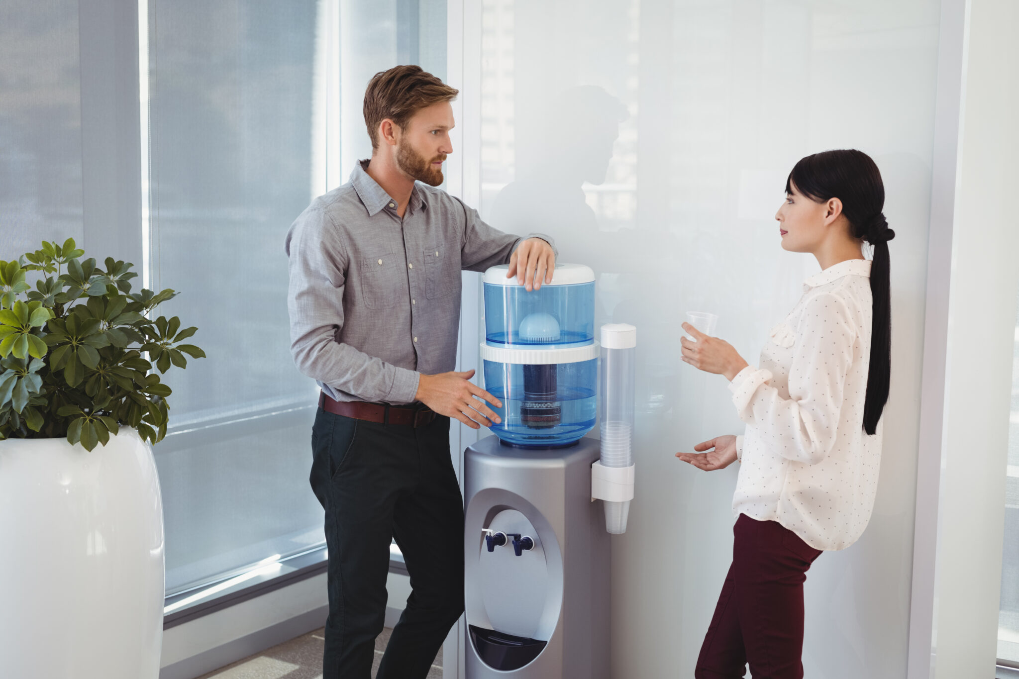 Crear una oficina ecológica eco-friendly