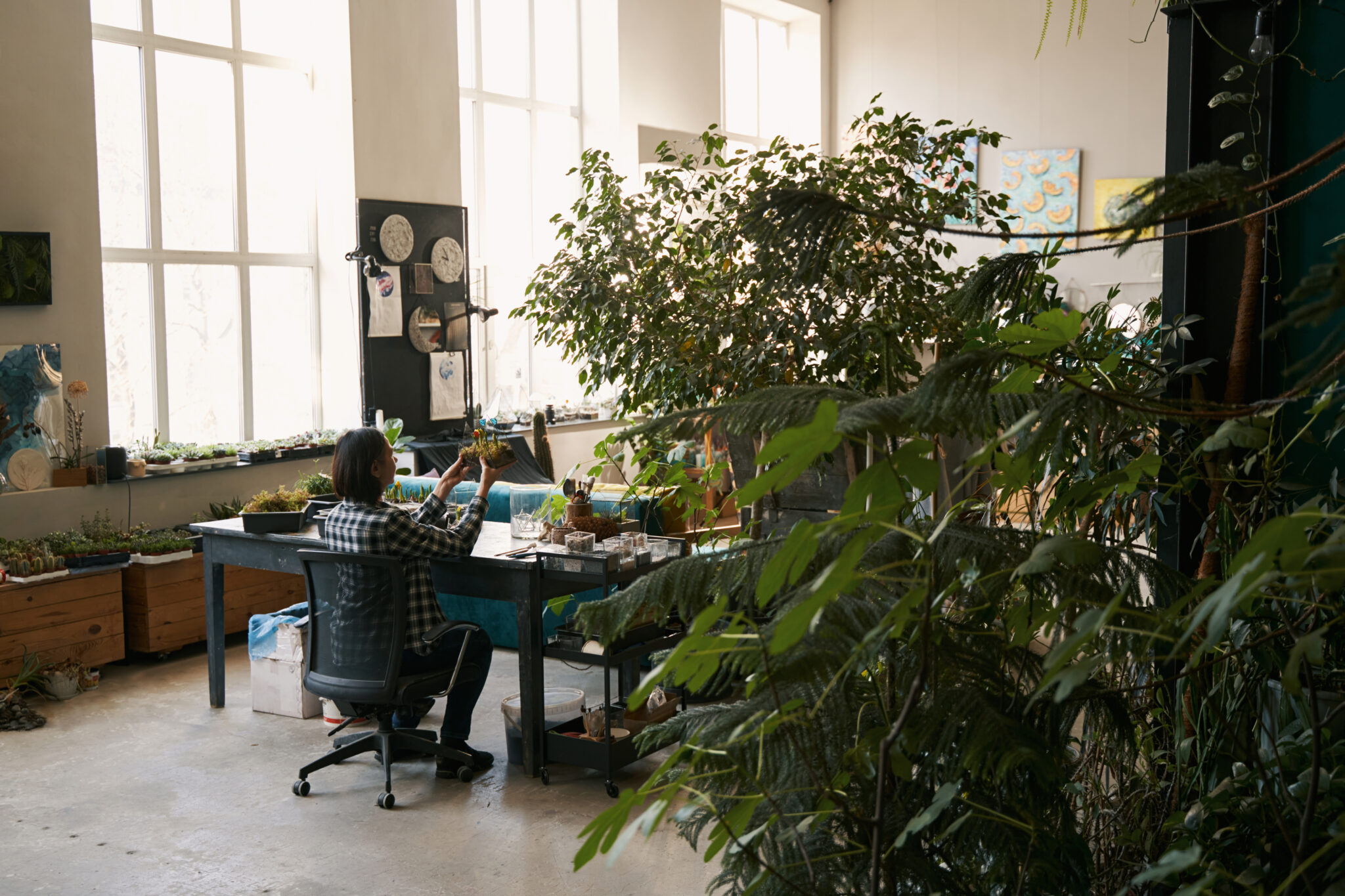 Crear una oficina ecológica eco-friendly
