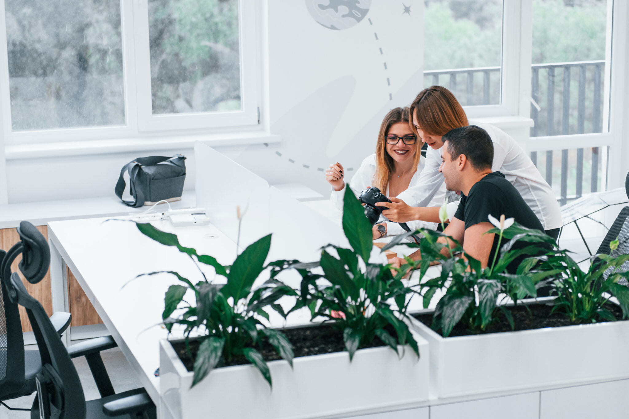 Crear una oficina ecológica eco-friendly