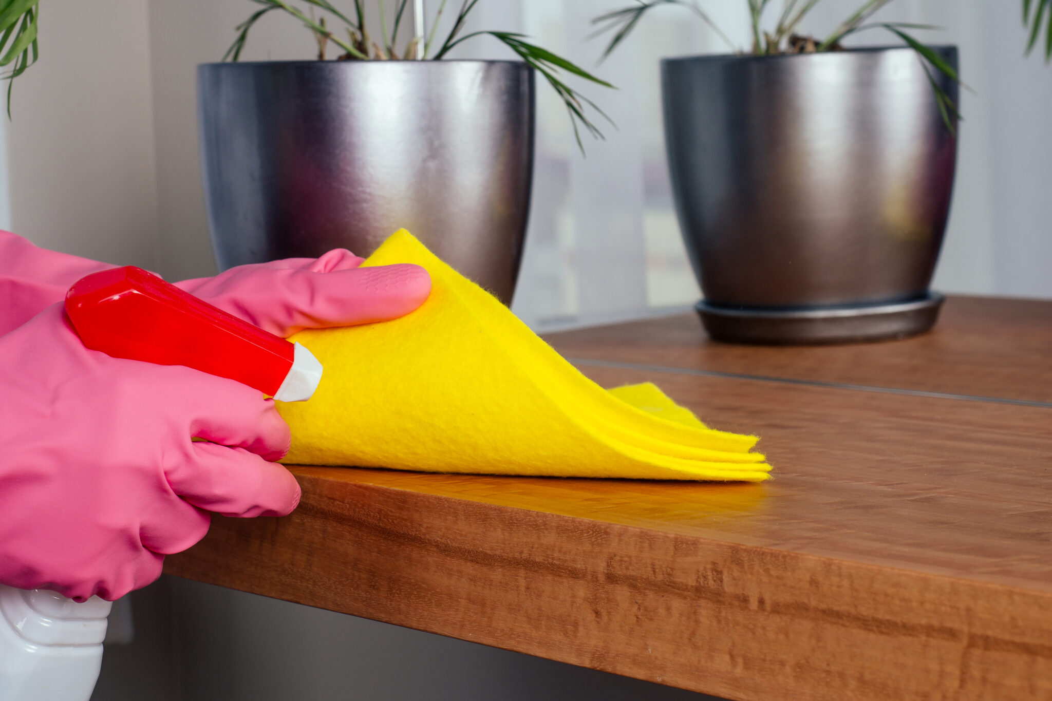 Cómo quitar olor a humedad